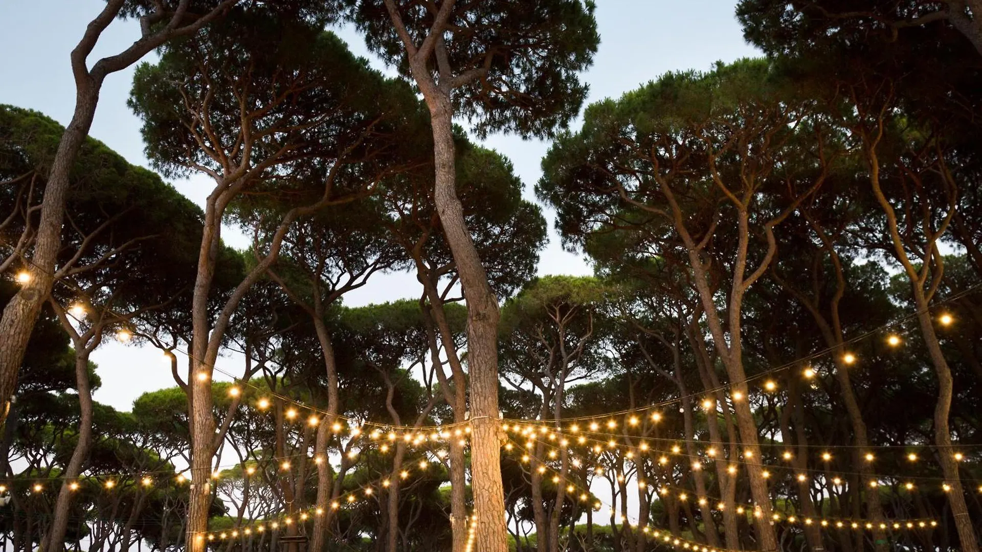 Hotel Il Mulinaccio San Vincenzo